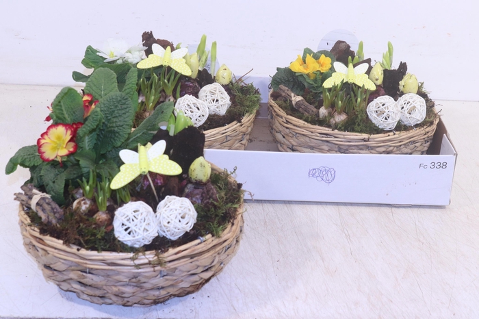 <h4>ARR TUINPLANTEN</h4>