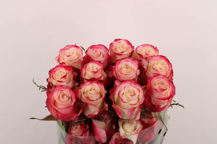 <h4>R Gr Adv Sweetness</h4>