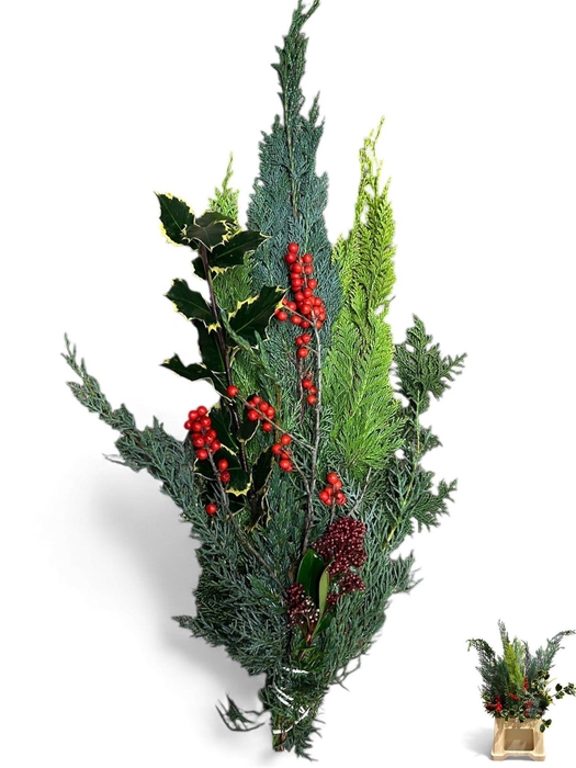 <h4>KERSTGROEN OV BS</h4>