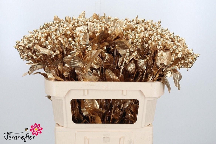 <h4>HYP OV KLB H%</h4>