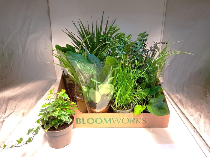 <h4>KAMERPL GEM OV</h4>