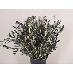 PF Olive Bs(150gr)