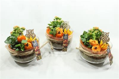 <h4>3340 ORANGE BOSE X3</h4>