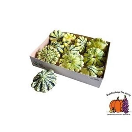 <h4>Cuc P Patisson Mix</h4>