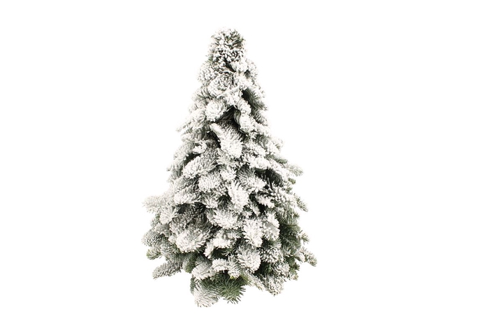 <h4>Kerstboom Nobilis Sneeuw 40cm</h4>