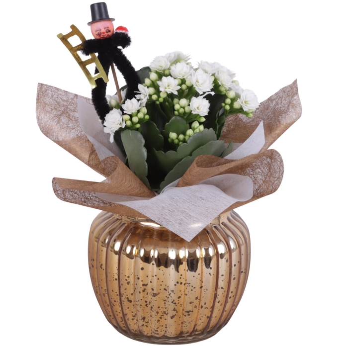 <h4>New Year Arr. Indoor Glass Round Relief Gold Ø11cm 1PP</h4>