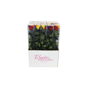 Arrangementen Potroos H%