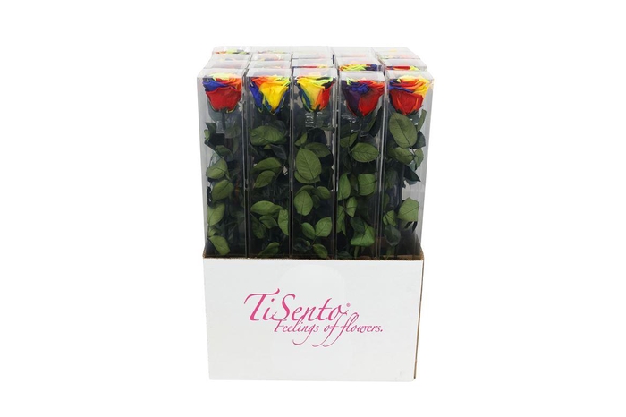 <h4>Arrangementen Potroos H%</h4>