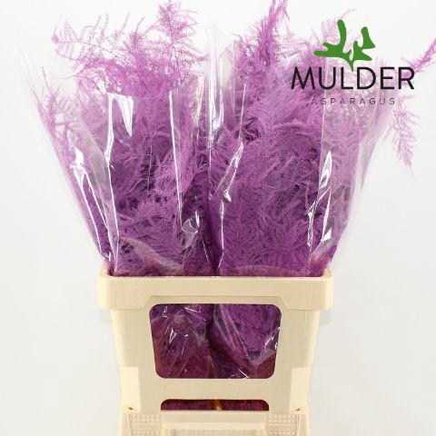<h4>Snijgroen Cerise Extra Veren</h4>