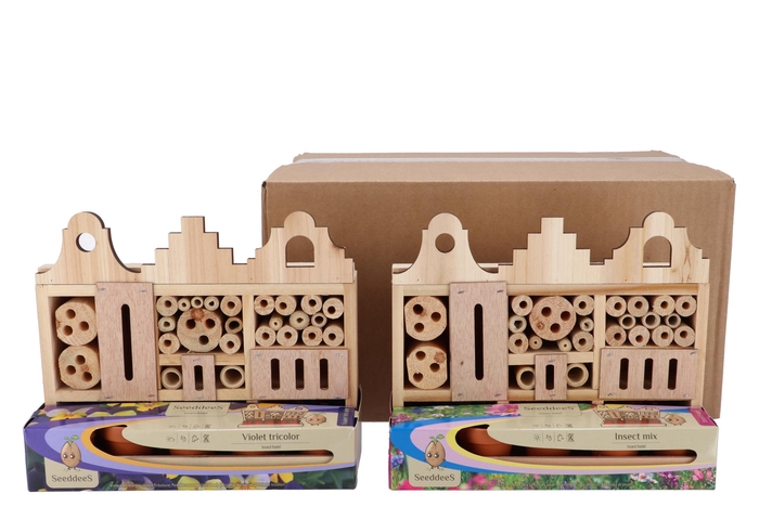 Greengift Insect Violins Mix Hotel A'dam 11x24x20cm