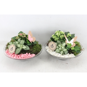 arr2 PL - Glas schaal 23cm - roze/wit