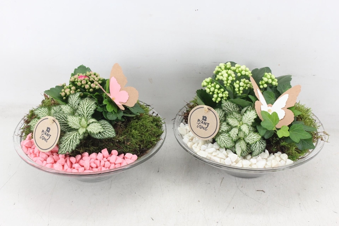 Arr2 Pl - Glas Schaal 23cm - Roze/wit