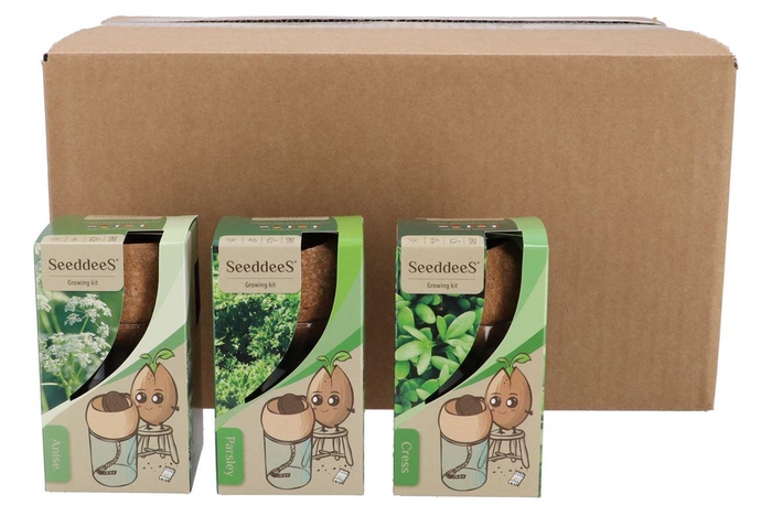 <h4>Greengift Cress Parsley Anis Mix Corkwick 8x13cm</h4>