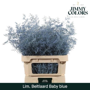 Lim Bel L90 Light blue