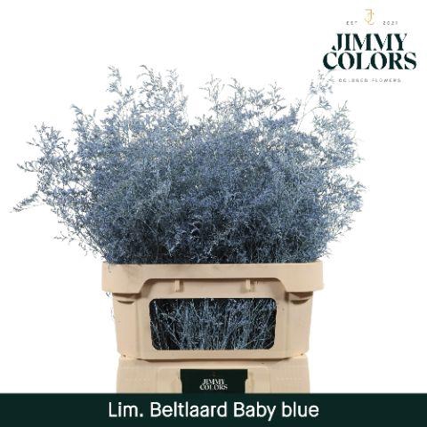 <h4>Lim Bel L90 Light blue</h4>