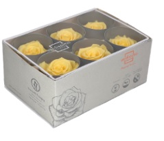 <h4>rose standard soft yellow</h4>
