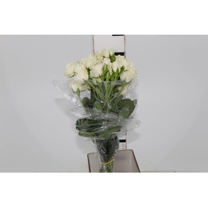 ROSA SPRAY WHITE ROSEVER 050 CM