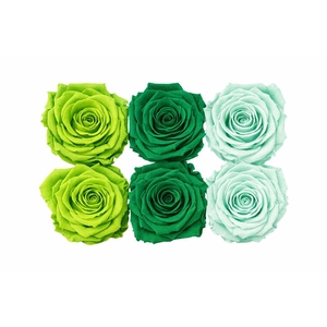 Ro Pres Classic Mix Green