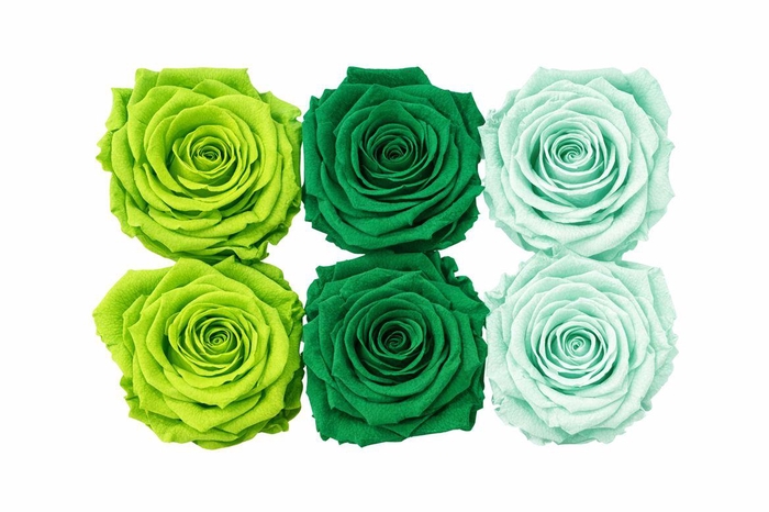 <h4>Ro Pres Classic Mix Green</h4>