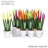 <h4>'Spaghetti' VELVET TOUCHZ® MIX NEON keramiek Rotterdam wit</h4>