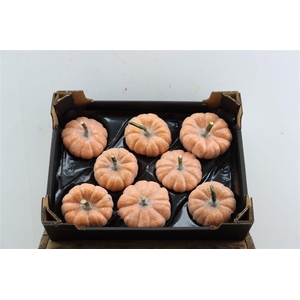 Wax Sierfruit Pumpkin Glitter