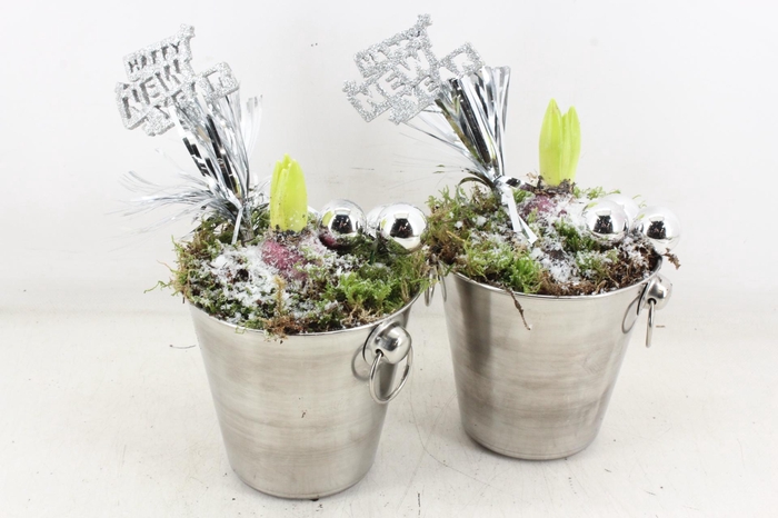 <h4>arr4 Hyacint JS - Zink emmer kerstbal</h4>