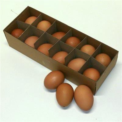 <h4>EI KIP BRUIN X12 PER COLLI</h4>