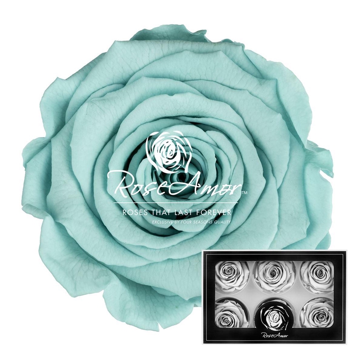 <h4>Lplus Blu02</h4>