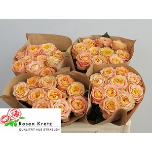 R GR PEACH FUNKY+