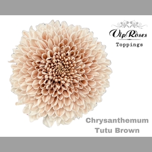 CHR G TUTU BROWN