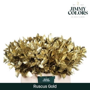 Ruscus L60 Mtlc. Gold