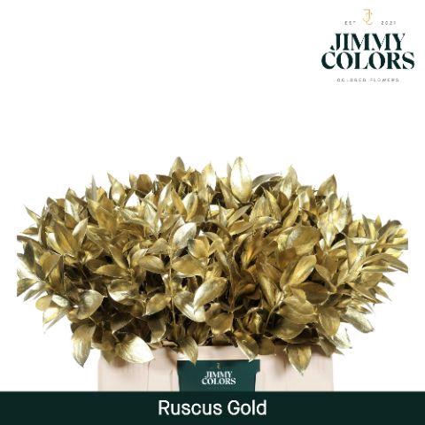 <h4>Ruscus L60 Mtlc. Gold</h4>