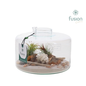 Green Bottle Kyra Medium met Maritiem arrangement