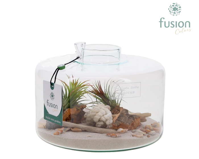 <h4>Green Bottle Kyra Medium met Maritiem arrangement</h4>