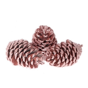 Pine cone Maritima wax 12cm x3