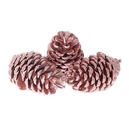 <h4>Pine cone Maritima wax 12cm x3</h4>