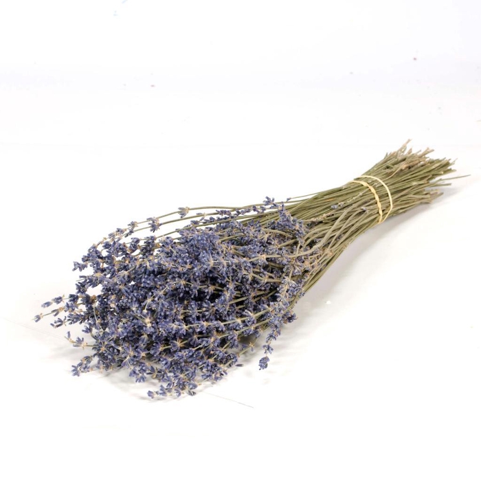 <h4>Lavender 100gr Natural Blue</h4>