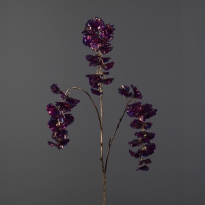 AF Irid. Wisteria Spray/3 L100