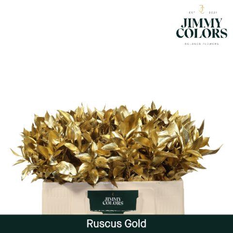 <h4>Ruscus L50 Mtlc. Gold</h4>