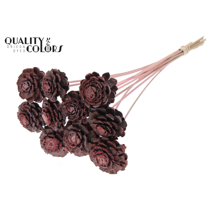 <h4>Pine cone cut 5-7cm on stem Frosted Light Pink</h4>