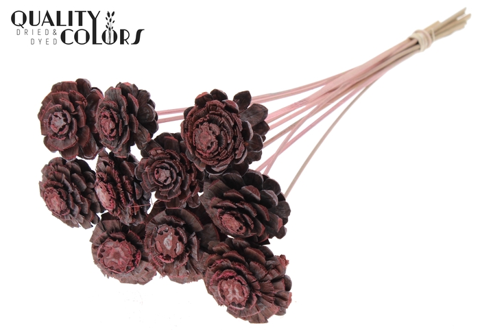 Pine cone cut 5-7cm on stem Frosted Light Pink