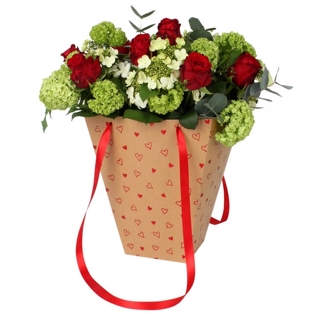 <h4>Bag Love story carton 24/24x13/13xH30cm red 10/bag</h4>