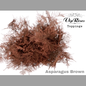 ASP OV GETOPT LANG BRUIN