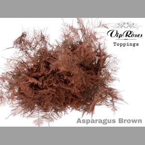 ASP OV EXTRA VEREN BRUIN
