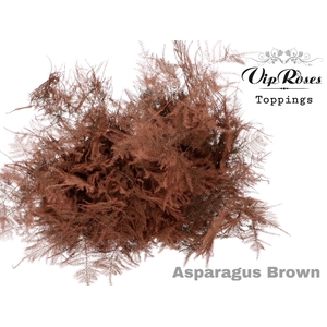 ASP OV EXTRA VEREN BRUIN