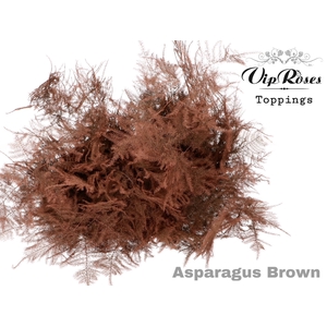 ASP OV EXTRA VEREN BRUIN