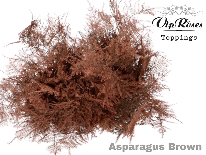 ASP OV GETOPT LANG BRUIN