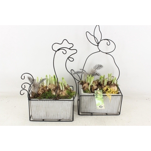 arr4 Narcis JS - Metaal pasen mix