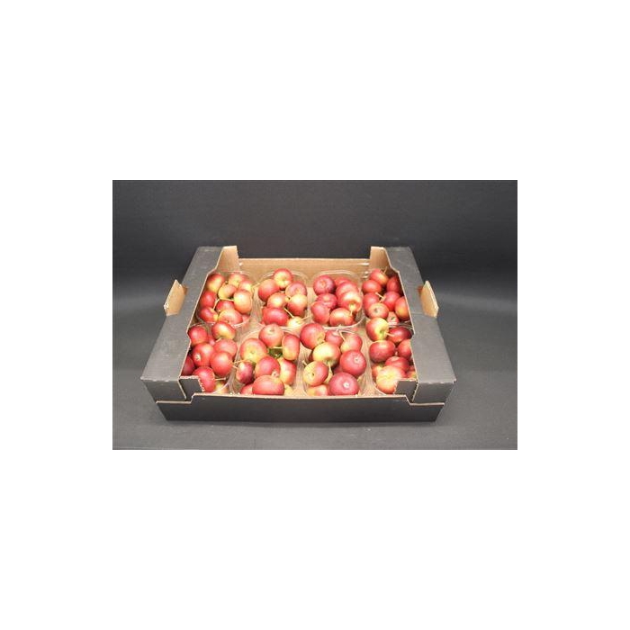 <h4>F Appel Malus Rood X8</h4>