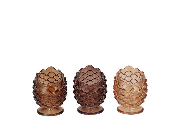 <h4>Bowy Scottish Brown Mix Candle H Pine Stand Ass 6x6x8cm</h4>
